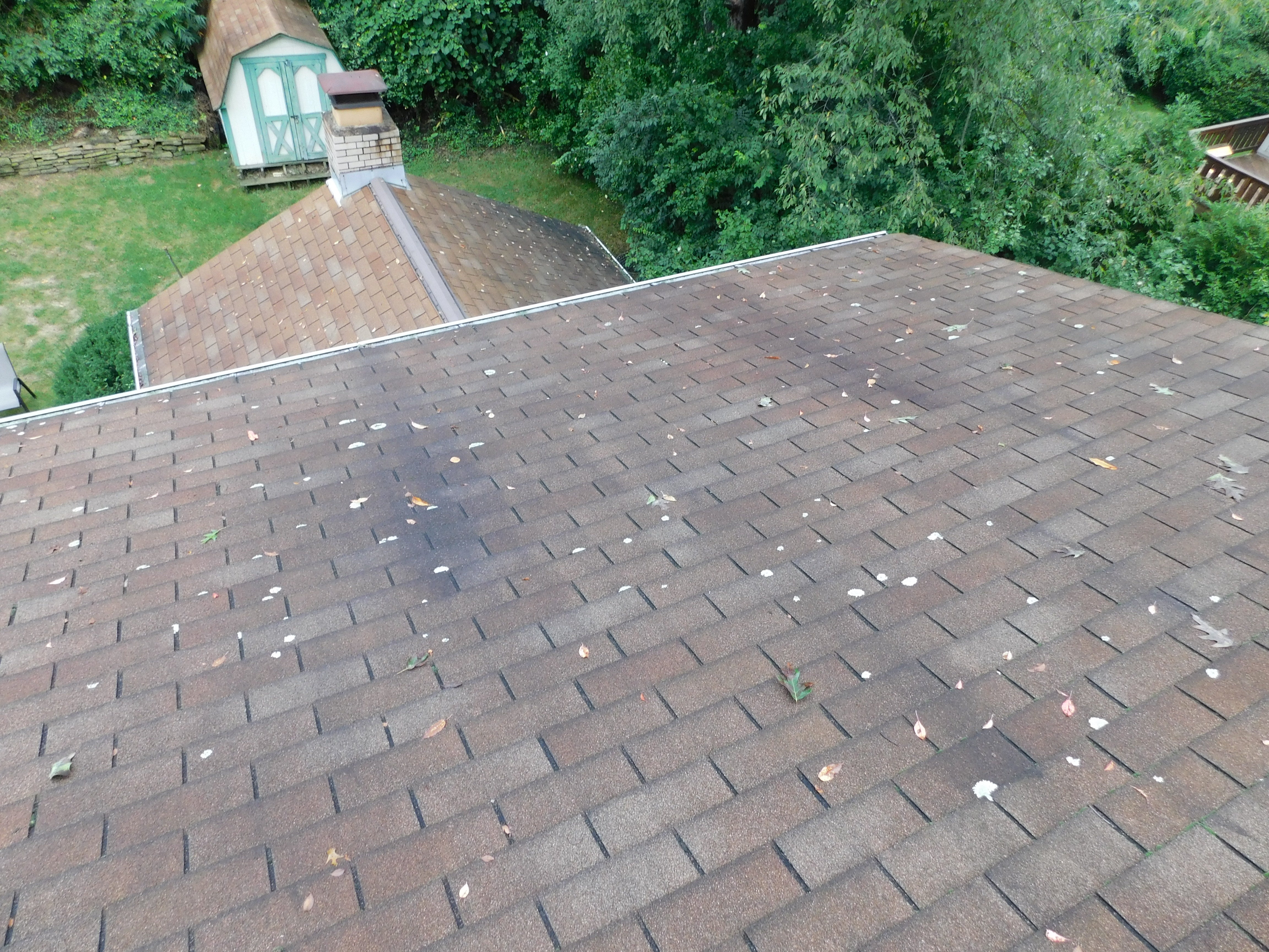 South Hills Roof Cleaning
