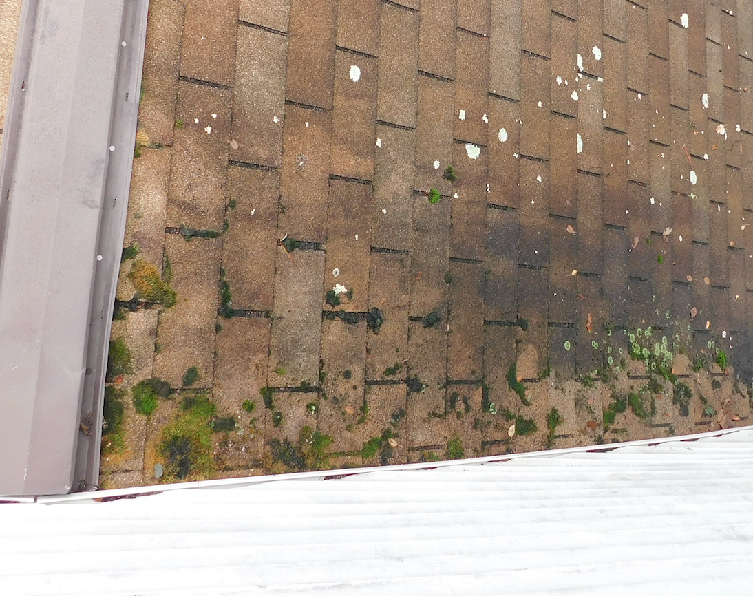 South Hills Roof Cleaning