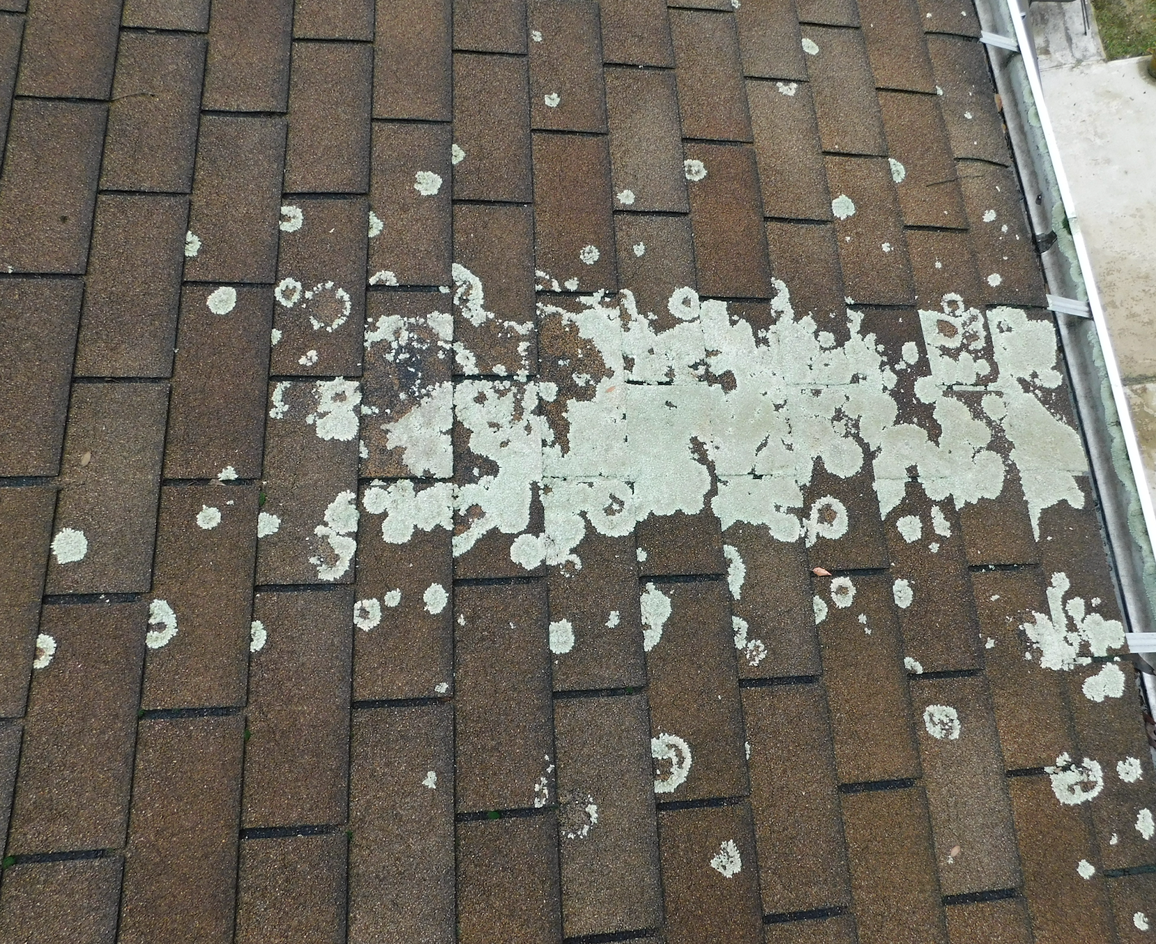 South Hills Roof Cleaning